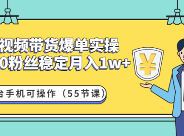 (3510)短视频带货爆单实操:1000粉丝稳定月入1w+一台手机可操作(55节课)