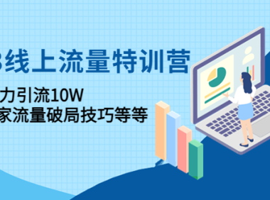 （3513）2023线上流量特训营：包含暴力引流10W+中小卖家流量破局技巧等等