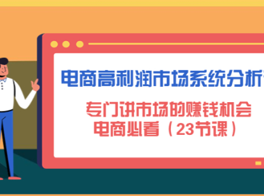 (3421)电商高利润市场系统分析课:专门讲市场的赚钱机会,电商必看(23节课)