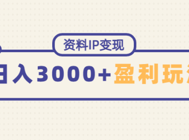 (3429)资料IP变现,能稳定日赚3000起的持续性盈利玩法