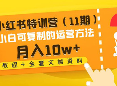 (3449)小红书特训营(11期)小白可复制的运营方法-月入10w+(教程+全套文档资料)