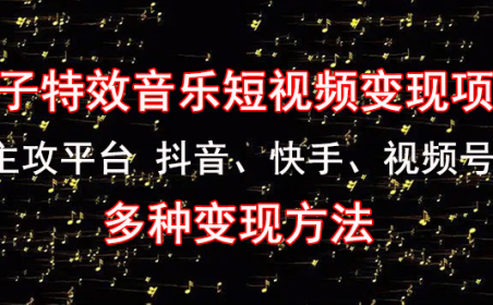 (3441)《粒子特效音乐短视频变现项目》主攻平台 抖音、快手、视频号 多种变现方法