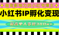 (3481)某收费培训-小红书IP孵化变现:做有影响力的小红书博主,最高单人变现300w+