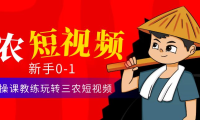(3484)三农短视频从0~1运营课:30节实操课教练玩转三农短视频