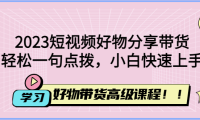 (3488)2023短视频好物分享带货,好物带货高级课程,轻松一句点拨,小白快速上手