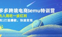 (3492)拼多多跨境电商temu特训营:先入局吃一波红利,从0到1打造爆款,快速变现