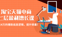 (3503)淘宝天猫电商七层盈利增长课:月入N万的爆款底层逻辑,提升销量!