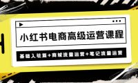(3510)小红书电商高级运营课程:基础入驻篇+商城流量运营+笔记流量运营