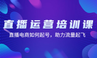 （3536）直播运营培训课：直播电商如何起号，助力流量起飞（11节课）