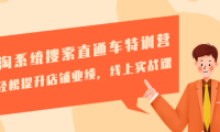 (3540)淘宝搜索直通车特训营-第三期:轻松提升店铺业绩,线上实战课