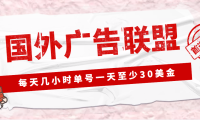 (3545)外面收费1980最新国外LEAD广告联盟搬砖项目,单号一天至少30美金(详细教程)