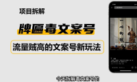 (3563)2023抖音快手毒文案新玩法,牌匾文案号,起号快易变现