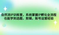 (3577)自然流IP训练营,系统掌握IP孵化全流程,也能学到选题,剪辑,账号运营经验