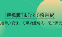 (3578)短视频TikTok 0粉带货:快速带货变现、打爆流量玩法、无货源玩法!