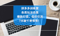 (3583)拼多多训练营:各玩法合集,爆款打造,低价引流,7天破千单等等!