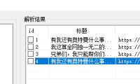 （3594）（免费下载）疯子抖音批量一键解析无水印下载软件