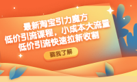 (3607)最新淘宝引力魔方低价引流实操:小成本大流量,低价引流快速拉新收割