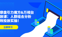 (3608)达摩盘引力魔方&万相台投放课:人群组合分析,高效投放实操!