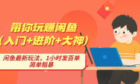 (3627)带你玩赚闲鱼(入门+进阶+大神),闲鱼最新玩法,1小时发百单,简单粗暴
