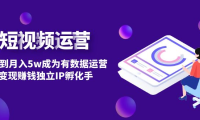 (3673)短视频自然流量IP第2期:从0到月入5w成为有数据运营变现赚钱独立IP孵化手
