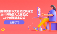 (3690)短视频带货脚本文案公式训练营:18个开场留人文案公式,18个创作脚本公式