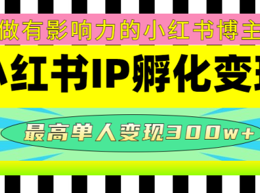 (3481)某收费培训-小红书IP孵化变现:做有影响力的小红书博主,最高单人变现300w+