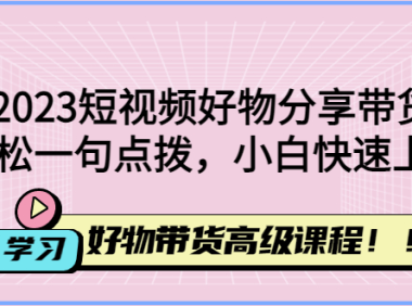 (3488)2023短视频好物分享带货,好物带货高级课程,轻松一句点拨,小白快速上手