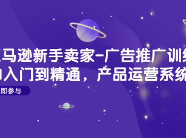 (3490)亚马逊新手卖家-广告推广训练营:0-1入门到精通,产品运营系统课!