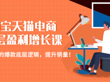 (3503)淘宝天猫电商七层盈利增长课:月入N万的爆款底层逻辑,提升销量!