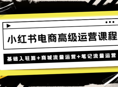 (3510)小红书电商高级运营课程:基础入驻篇+商城流量运营+笔记流量运营