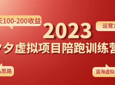 (3515)《拼多多虚拟项目陪跑训练营1.0》单店每天100-200收益 独家选品思路和运营