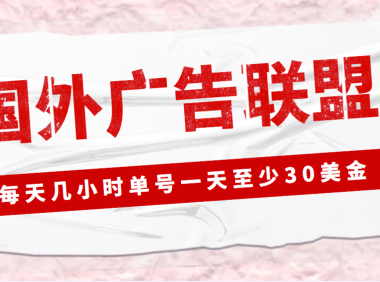 (3545)外面收费1980最新国外LEAD广告联盟搬砖项目,单号一天至少30美金(详细教程)