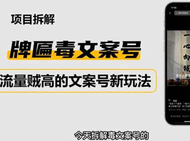 (3563)2023抖音快手毒文案新玩法,牌匾文案号,起号快易变现