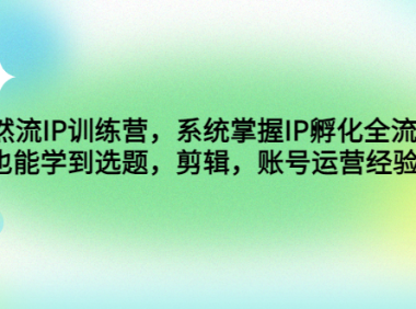 (3577)自然流IP训练营,系统掌握IP孵化全流程,也能学到选题,剪辑,账号运营经验