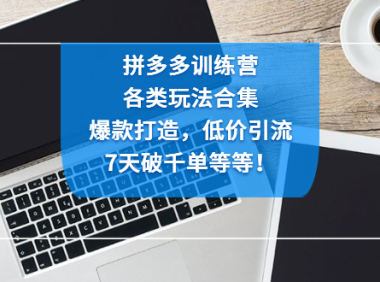 (3583)拼多多训练营:各玩法合集,爆款打造,低价引流,7天破千单等等!