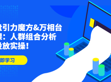 (3608)达摩盘引力魔方&万相台投放课:人群组合分析,高效投放实操!