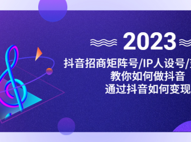 (3609)抖音/招商/矩阵号+IP人设/号+变现/收徒,教你如何做抖音,通过抖音赚钱