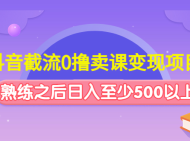 (3629)抖音截流0撸卖课变现项目:这个玩法熟练之后日入至少500以上