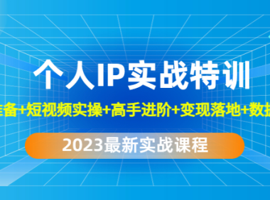 (3647)2023个人IP实战特训:基础准备+短视频实操+高手进阶+变现落地+数据+电商