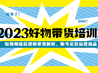 (3670)2023好物带货培训班:短视频底层逻辑带货解析,账号定位运营选品