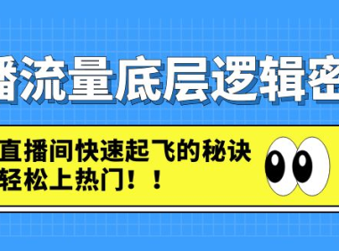 （3671）直播流量底层逻辑密码：直播间快速起飞的秘诀，轻松上热门