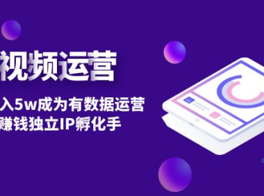 (3673)短视频自然流量IP第2期:从0到月入5w成为有数据运营变现赚钱独立IP孵化手