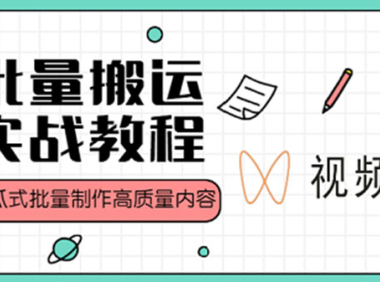 (3679)视频号批量搬运实战赚钱教程,傻瓜式批量制作高质量内容【附视频教程+PPT】