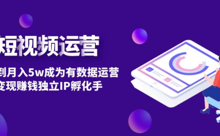 (3673)短视频自然流量IP第2期:从0到月入5w成为有数据运营变现赚钱独立IP孵化手