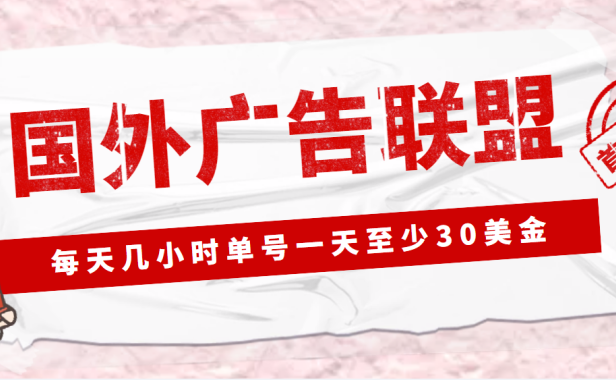 (3545)外面收费1980最新国外LEAD广告联盟搬砖项目,单号一天至少30美金(详细教程)