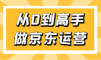 (3699)专业京东运营8年实操讲师教你从0到高手做京东运营