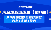 (3716)淘宝爆款训练营【第11期】 从0开始教你运营打爆款,方向+实操+放大
