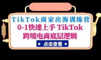 (3732)TikTok商家出海训练营:0-1快速上手 TikTok跨境电商底层逻辑