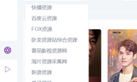 （3740）ZY全网VIP影视资源播放器电脑版