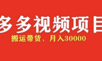 (3755)多多带货视频快速50爆款拿带货资格,搬运带货 月入3w【全套脚本+详细玩法】